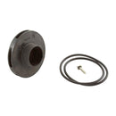Jandy FHPM 1HP Pump Impeller & Screw w/ O-Ring | R0479602