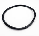 Jandy Pro Series FHP Lid O-Ring | R0480200