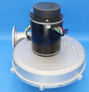 Jandy JXi Blower Assembly R0591100