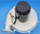 Jandy JXi Blower Assembly R0591100