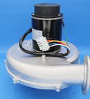 Jandy JXi Blower Assembly R0591100