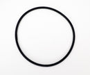 Jandy (Polaris) Lid O-Ring for Forza Aboveground Pump R0968900
