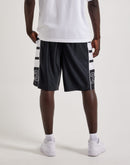 Jordan Brooklyn Cat Scratch Shorts