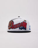 Jordan Air Jordan 1984 Pro Snapback Cap