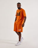 Jordan Brooklyn Fleece Shorts