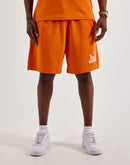 Jordan Brooklyn Fleece Shorts
