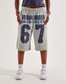 Jordan Howard University Flight Fleece Big Shorts
