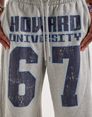 Jordan Howard University Flight Fleece Big Shorts