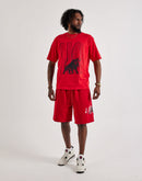 Jordan Brooklyn Fleece Shorts