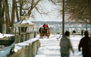 Eastman Kodak Professional Ektacolor Pro 160 Color Negative Film (35mm Roll, 36 Exposures)