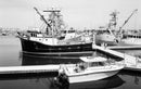 Eastman Kodak Ektapan 100 Black & White Negative Film (35mm Roll, 36 Exposures)