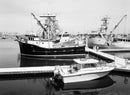 Kodak Ektapan 100 120 Film