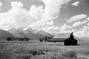 Kodak Ektapan 100 135-36 Film