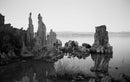 Eastman Kodak Ektapan 100 Black & White Negative Film (35mm Roll, 36 Exposures)