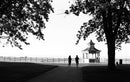 Eastman Kodak Ektapan 400 Black & White Negative Film (35mm Roll, 36 Exposures)