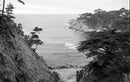 Eastman Kodak Ektapan 400 Black & White Negative Film (35mm Roll, 36 Exposures)