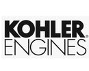 Kohler 25-393-19-S Fuel Pump Module Kit