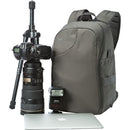 Lowepro Transit Camera Backpack 350 AW (Slate Grey)