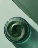 Deep Purifying Mask