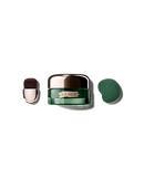 Deep Purifying Mask