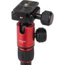 MeFOTO DayTrip Tripod Kit (Titanium)