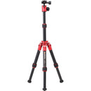 MeFOTO DayTrip Tripod Kit (Green)