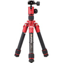 MeFOTO DayTrip Tripod Kit (Titanium)