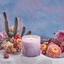 Desert House - Midnight Cactus