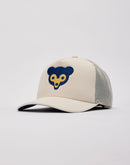 Mitchell & Ness MLB Evergreen Chicago Cubs Trucker Hat