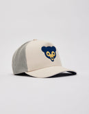 Mitchell & Ness MLB Evergreen Chicago Cubs Trucker Hat