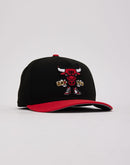 New Era NBA Chicago Bulls Cartoon 9Fifty A-Frame Snapback Hat