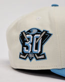 New Era Anaheim Ducks 9Fifty A-Frame Snapback Hat