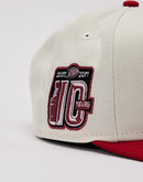New Era NHL Anaheim Ducks Chrome 9Fifty A-Frame Snapback