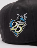 New Era NHL San Jose Sharks 9Fifty A-Frame Snapback