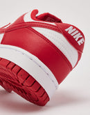 Nike Dunk Low Next Nature