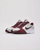 Nike Kobe 5 Protro 'Lower Merion' Grade-School