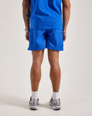 Nike Club Flow Shorts