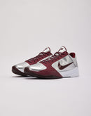 Nike Kobe 5 Protro 'Lower Merion'