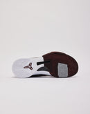 Nike Kobe 5 Protro 'Lower Merion'