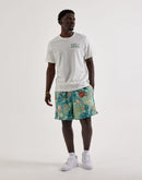 Nike Club Flow Shorts
