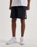 Nike Swim Breaker Volley Shorts
