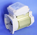 Pentair 1.5HP TEFC Motor Square Flange 354823S