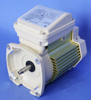 Pentair 1.5HP TEFC Motor Square Flange 354823S