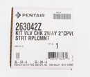Pentair 2" & 2.5" Check Valve Rebuild Kit 263042Z