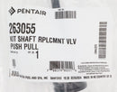 Pentair 2" Piston Shaft Assembly 263055