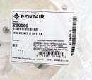 Pentair 5-Port Top Feed Ball Valve Repair Kit 230060 522917