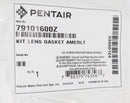 Pentair 8-3/8" Lens Gasket | 79101600Z