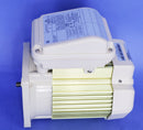 Pentair Almond 1HP TEFC Square Flange Pump Motor 115/208-230V 354821S