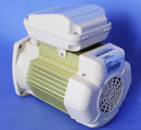 Pentair Almond 1HP TEFC Square Flange Pump Motor 115/208-230V 354821S