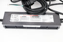 Pentair Ballast With Connector | 523460